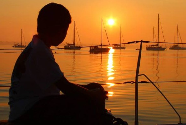 Delicate flowers with morning dew drops glistening in soft light