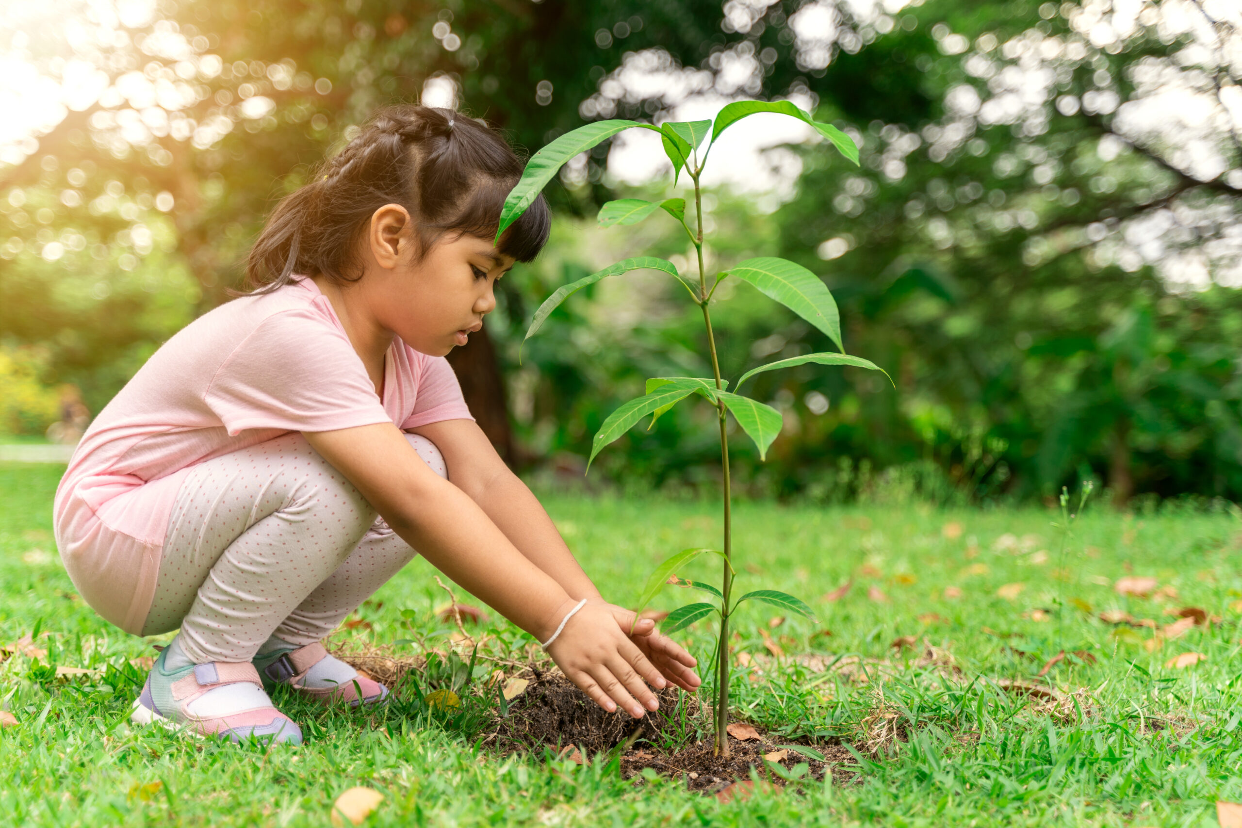 Young person planting a small tree, symbolizing new beginnings