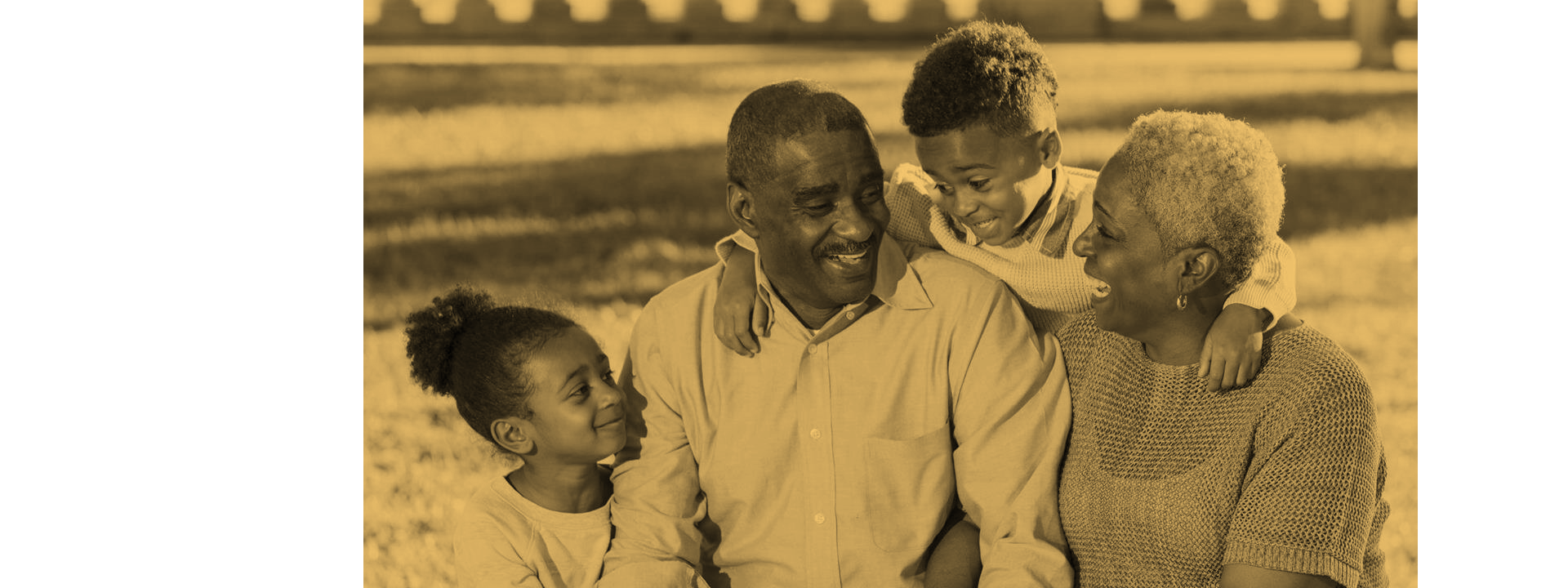 Lush green pasture with rolling hills and peaceful countryside